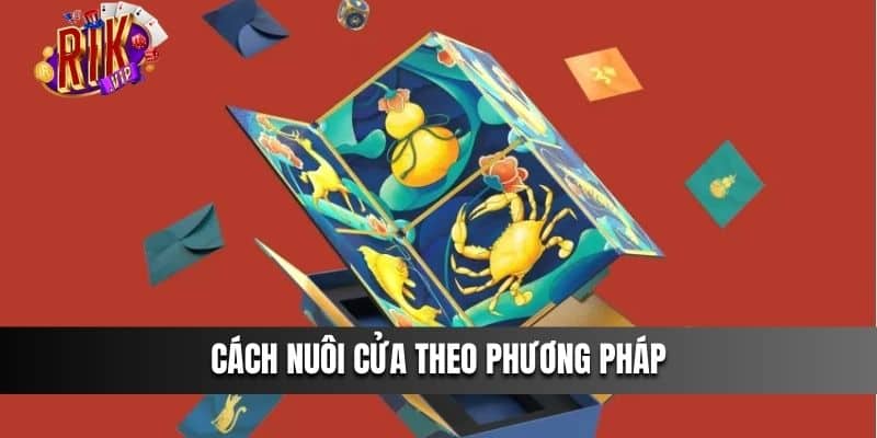 Cách nuôi cửa theo phương pháp