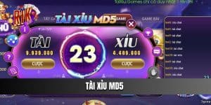 Tài Xỉu MD5