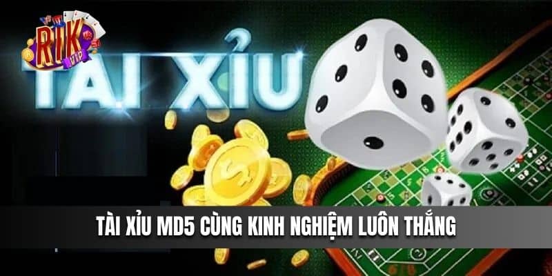 Tài xỉu MD5 cùng kinh nghiệm luôn thắng